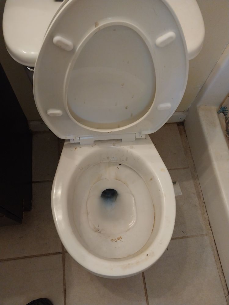 SEAS THE DAY HOUSEKEEPING Updated May 2024 Tallahassee, Florida Home Cleaning Phone