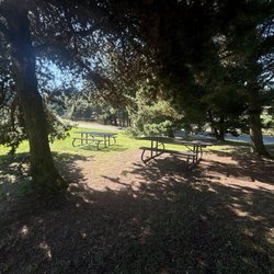 Playground by the Sound - Picnic tables under the trees, right behind the playground.