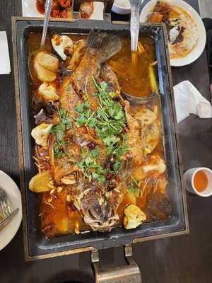 Szechuan Brothers Chinese Restaurant by null