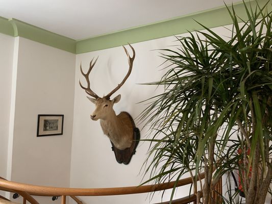 Schlosswirt zu Anif - Biedermeier-Hotel & Restaurant | Tagungshotel & Hochzeitsfeiern by null