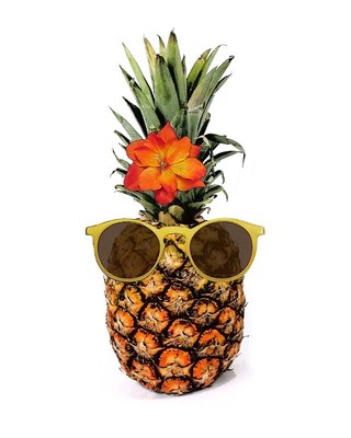 PINEAPPLE EXPRESS KAUAI CAR RENTALS - Updated October 2025 - 12 Photos