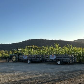 Tanaka Farms - Hay ride - CSA Near Me - Irvine, California Tanaka Farms - Hay ride - CSA Near Me - Irvine, California