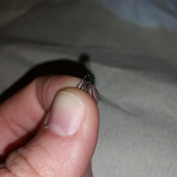 Nail Pro - Eye lash extentions STAY AWAY! They're nothin like advertised. She used wayy to much glue. Took me 3days to get them off. :(