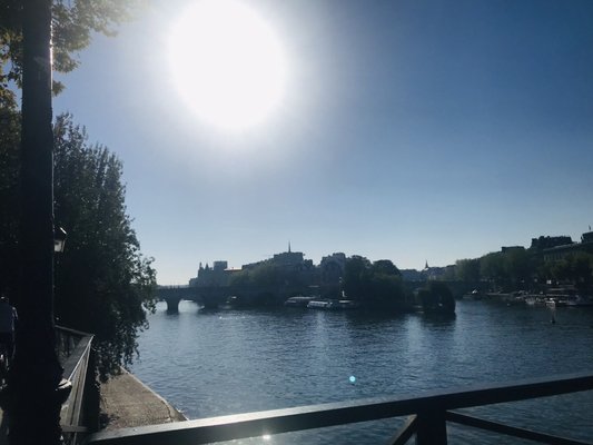 Pont des Arts by null