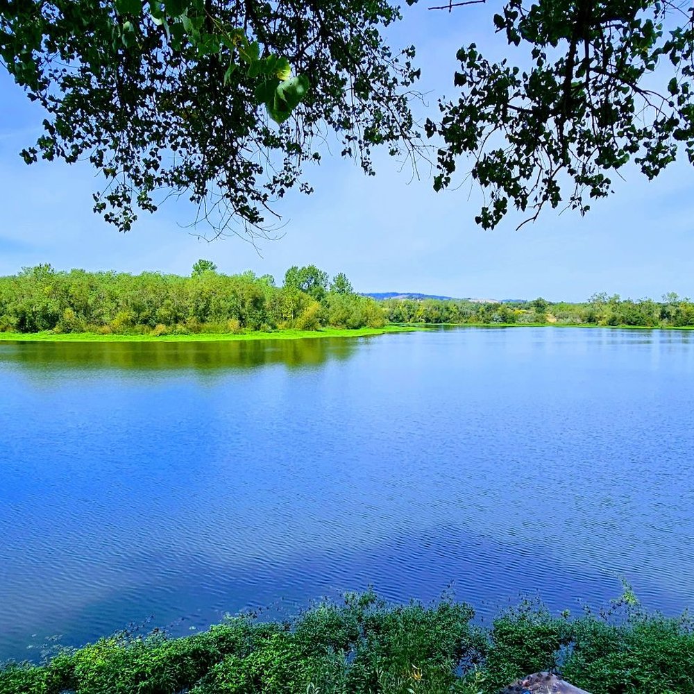 Riverfront Regional Park - Parks Near Me - Healdsburg, California