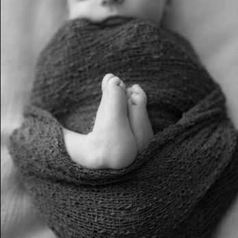 Holly D Photography - Session Photography Near Me