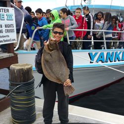Yankee III