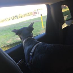Headed home from daycare at WAGD. Headed home from daycare at WAGD.