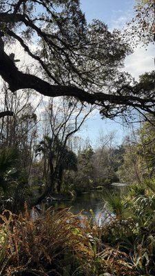 Kelly Park - Rock Springs by null