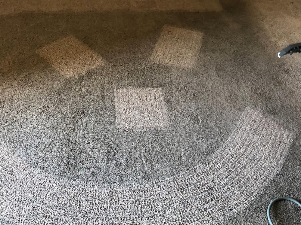 AUCKLAND STEAM ‘N’ DRY Updated July 2024 12 Photos Old Lake Rd