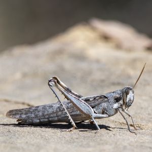 Charmlee Wilderness Park on Yelp