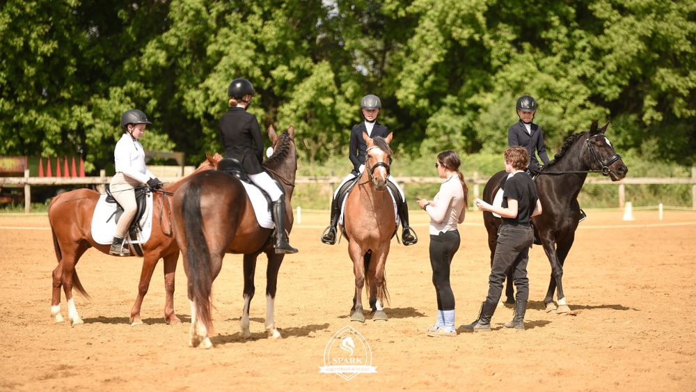 Spark Equestrian Academy - equestrian in Stillwater, MN
