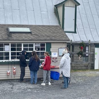 Mayne's Tree Farm - Concessions with cider donuts and hot chocolate - Farmers Market Near Me - Buckeystown, Maryland