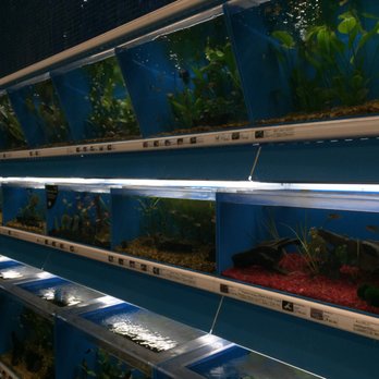 Pet Supermarket - Freshwater selections - Pet Stores Near Me - Ruskin, Florida