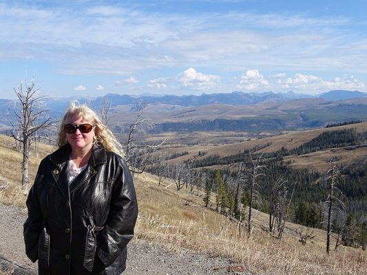 Mt Washburn by null