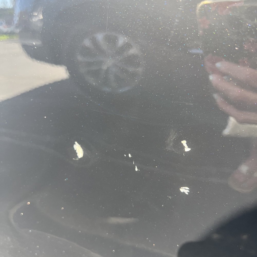 Dent and Scratch Pro - Before - Body Shops Near Me - San Diego, California