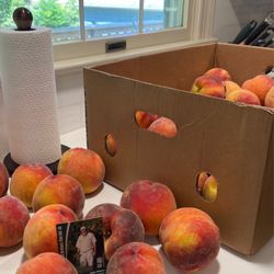 Williams Orchard - Peaches