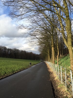 Heaton Park by null
