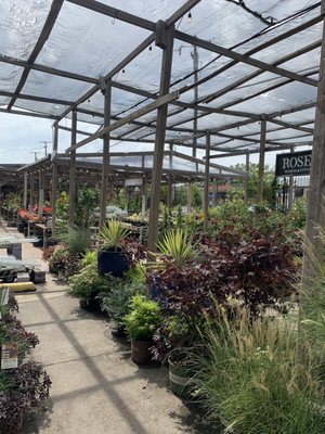 NICHOLSON HARDIE - NURSERY AND GARDEN CENTER - Updated June 2024 - 14