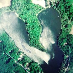 Horseshoe Lake County Park - Aerial view