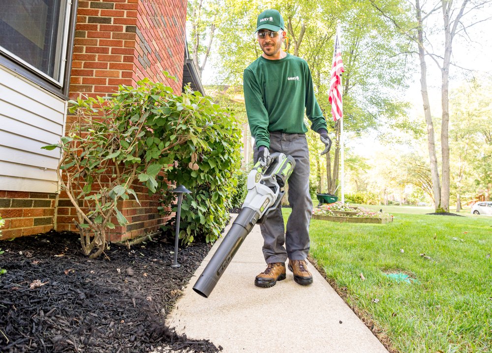 THE DAVEY TREE EXPERT COMPANY Updated September 2024 11 Photos