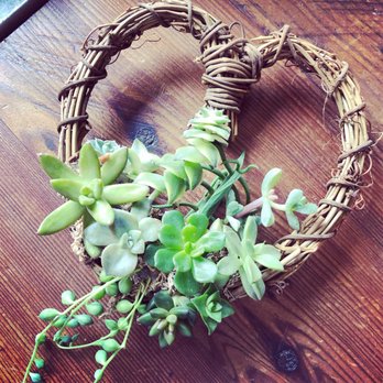 Knots & Found - Heart Succulent for Valentine's Day - Nurseries & Gardening Near Me - Martinez, California Knots & Found - Heart Succulent for Valentine's Day - Nurseries & Gardening Near Me - Martinez, California