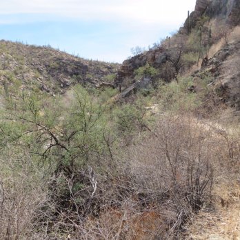 Sabino Canyon - Parks Near Me - Tucson, Arizona Sabino Canyon - Parks Near Me - Tucson, Arizona