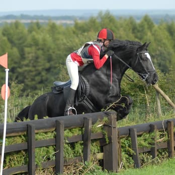 Cedar Springs Equine - Veterinarians Near Me - Enumclaw, Washington Cedar Springs Equine - Veterinarians Near Me - Enumclaw, Washington