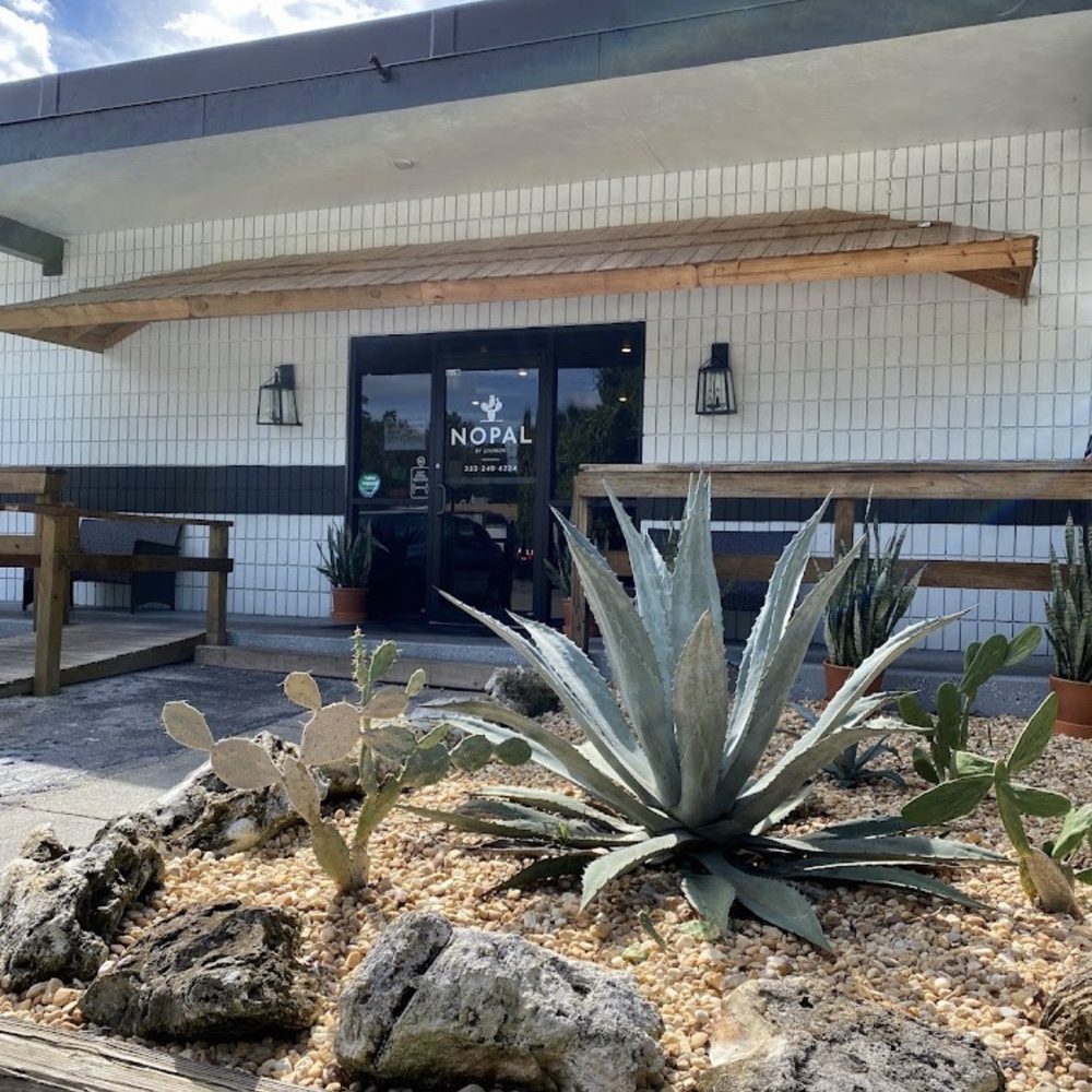 Nopal - Front of building (from their page) - Mexican Near Me - Gainesville, Florida Nopal - Front of building (from their page) - Mexican Near Me - Gainesville, Florida