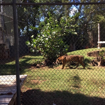 Honolulu Zoo - Zoos Near Me - Honolulu, Hawaii