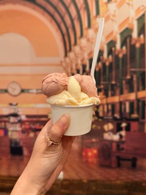 Marco Polo Italian Ice Cream Inc. by null