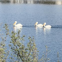 Prarie View Lake Recreation Area