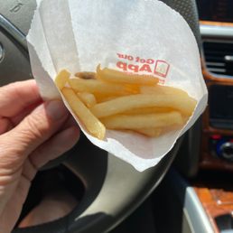 a hand holding a piece of french fries