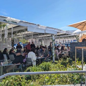 Sugar and Scribe  - Outdoor patio seating - Bakeries Near Me - La Jolla, California
