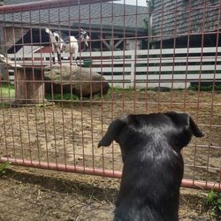 user provided Beech Hill Farm Stand & Ice Cream Barn photo