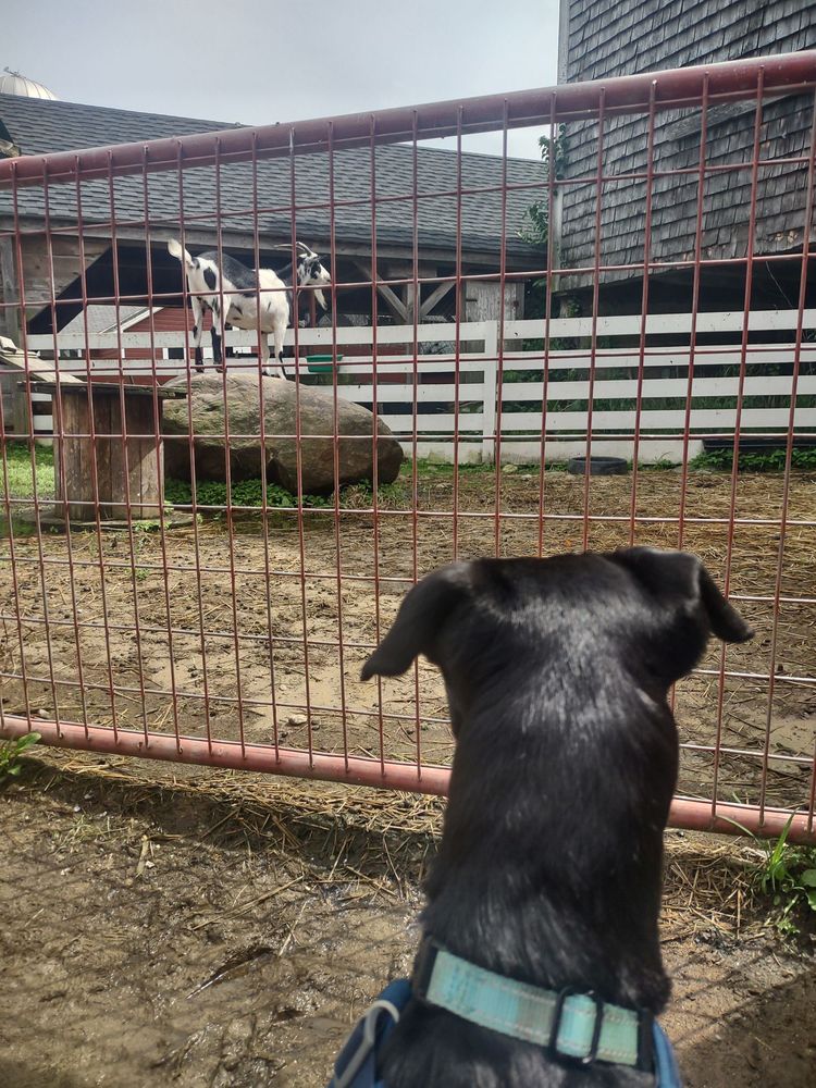 BEECH HILL FARM STAND & ICE CREAM BARN Updated September 2024 21