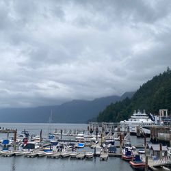 Sewell's Marina