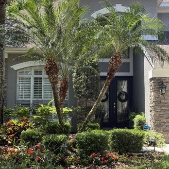 Charles Coogle Tree Service - AFTER - Tree Services Near Me Charles Coogle Tree Service - AFTER - Tree Services Near Me
