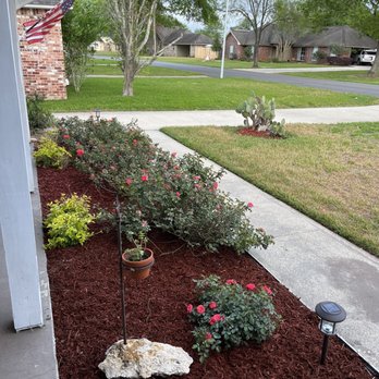 Landscape Depot - Knock Out Roses - Nurseries & Gardening Near Me - Prairieville, Louisiana Landscape Depot - Knock Out Roses - Nurseries & Gardening Near Me - Prairieville, Louisiana