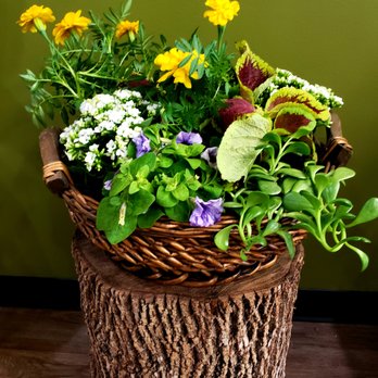 Flowers & Chocolate - Custom Plants basket - Florists Near Me - Howell, New Jersey Flowers & Chocolate - Custom Plants basket - Florists Near Me - Howell, New Jersey