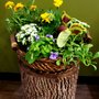 Photo of Flowers & Chocolate