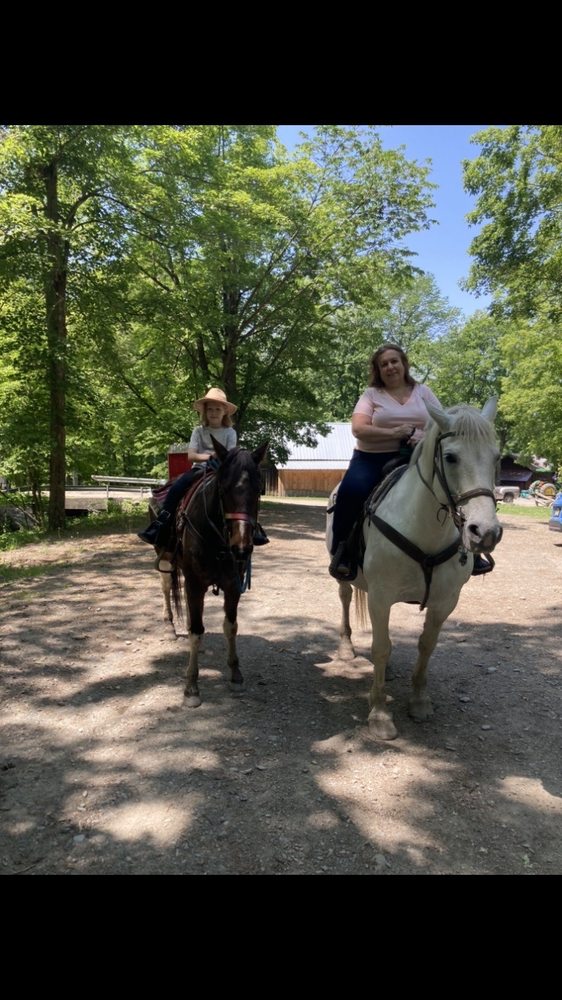 One Trick Pony - equestrian in Johnsonville, NY