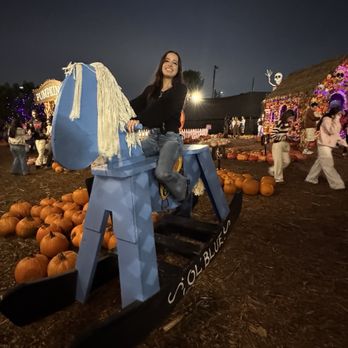 MrBones - Giant rocking horses - Attraction Farms Near Me - Culver City, California MrBones - Giant rocking horses - Attraction Farms Near Me - Culver City, California