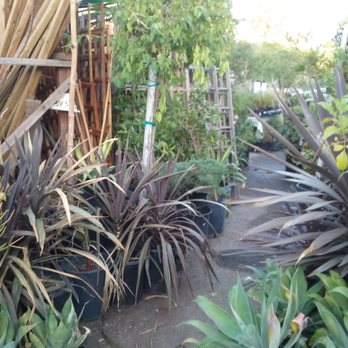 Echo Garden - Canvassing - Nurseries & Gardening Near Me - Los Angeles, California