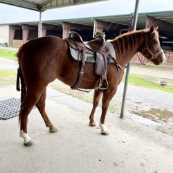 Cottonwood Creek Equestrian Center