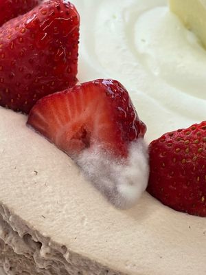 Paris Baguette by null