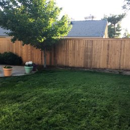 Cedar fence with cap top.