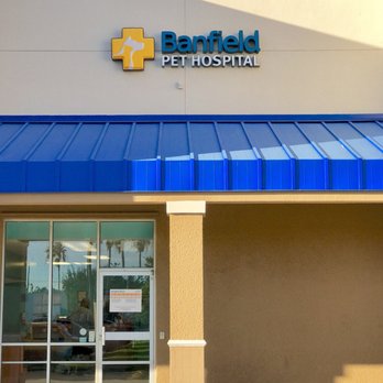 PetSmart - BANFIELD PET HOSPITAL Is a privately owned company which operates many of its 800 clinics inside Petsmart stores. - Pet Stores Near Me - Miami, Florida PetSmart - BANFIELD PET HOSPITAL Is a privately owned company which operates many of its 800 clinics inside Petsmart stores. - Pet Stores Near Me - Miami, Florida