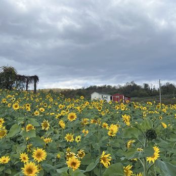 Hollin Farms - Fruits & Veggies Near Me - Delaplane, Virginia