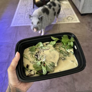 Culinary Dropout - The Spicy Vegan Curry - New American Near Me - Tucson, Arizona Culinary Dropout - The Spicy Vegan Curry - New American Near Me - Tucson, Arizona